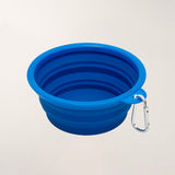 Collapsible Pet Bowl